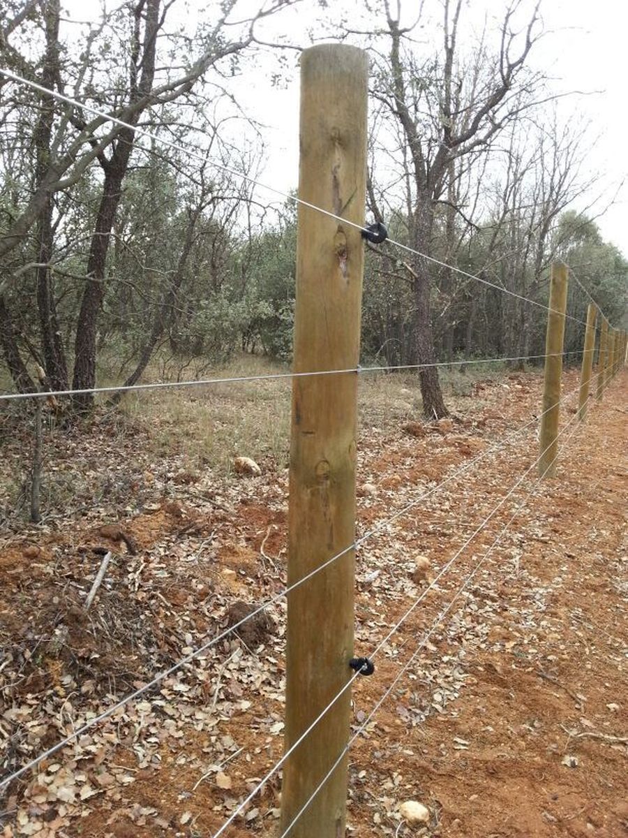 Cercas Eléctricas Pastores Energizadores