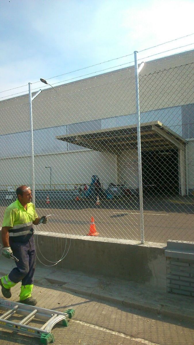 Cercado Renault Simple Torsión Doble Bayoneta - Imagen 3