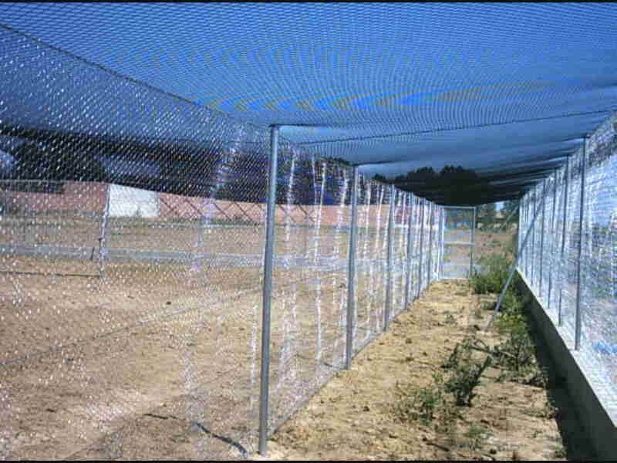 Voladeros - Imagen 9