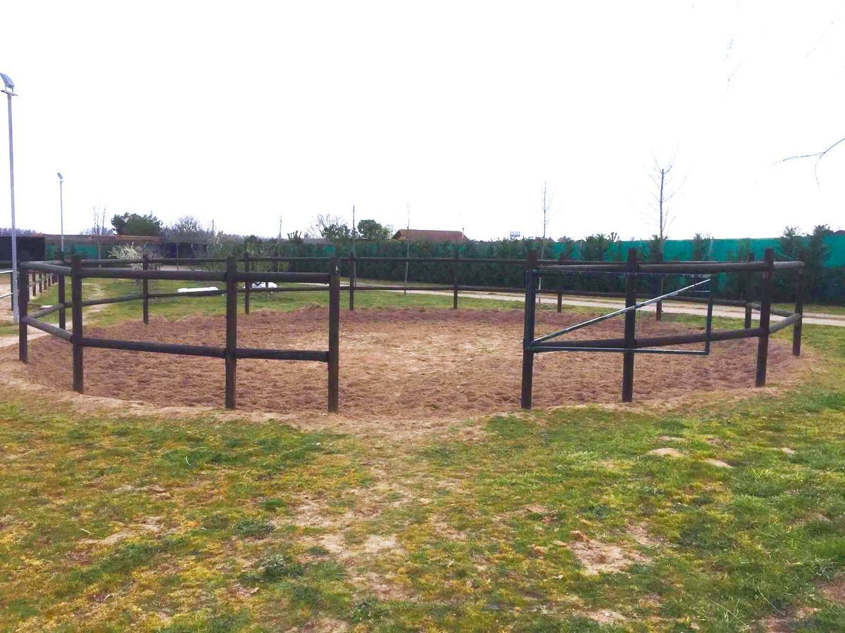 Madera - Imagen 17