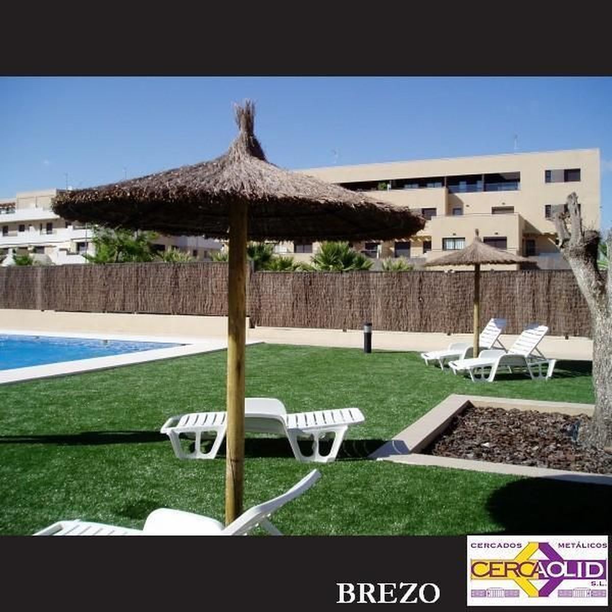 Brezo - Imagen 5