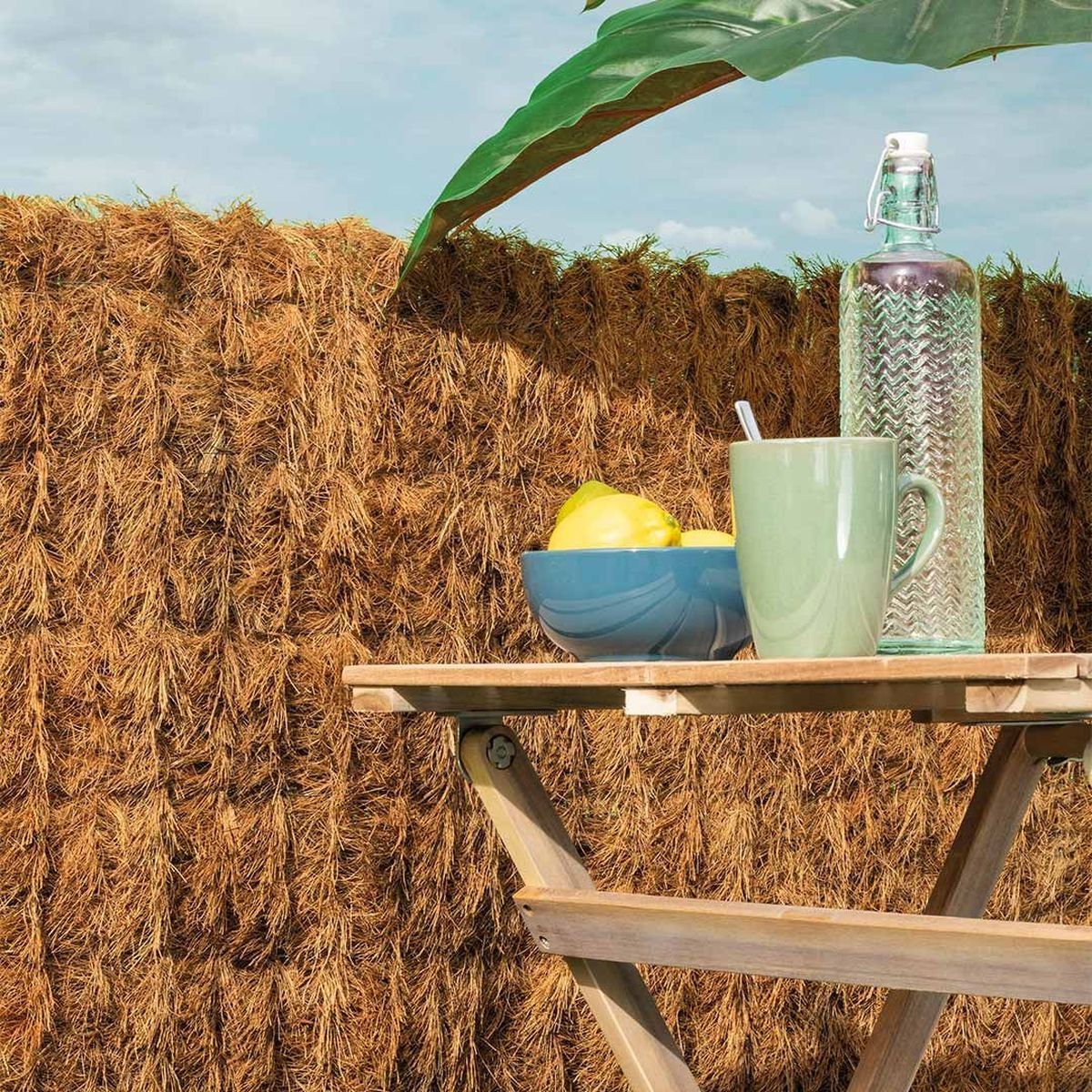 Seto Artificial y Coco Natur - Imagen 8